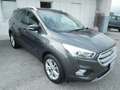 Ford Kuga Kuga 2.0 TDCI 150 CV S&S 4WD Powershift Titanium Grau - thumbnail 3
