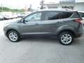 Ford Kuga Kuga 2.0 TDCI 150 CV S&S 4WD Powershift Titanium Grau - thumbnail 6