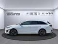 Kia Ceed SW / cee'd SW GT-Line 1.5 T-GDI DCT JBL Navi El. Parkbremse Klim Weiß - thumbnail 2