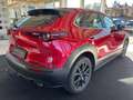 Mazda CX-30 G122 AWD Comfort+ Aut. Rot - thumbnail 7