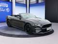 Ford Mustang Convertible GT California Special *Mangne-Ride* Grau - thumbnail 17