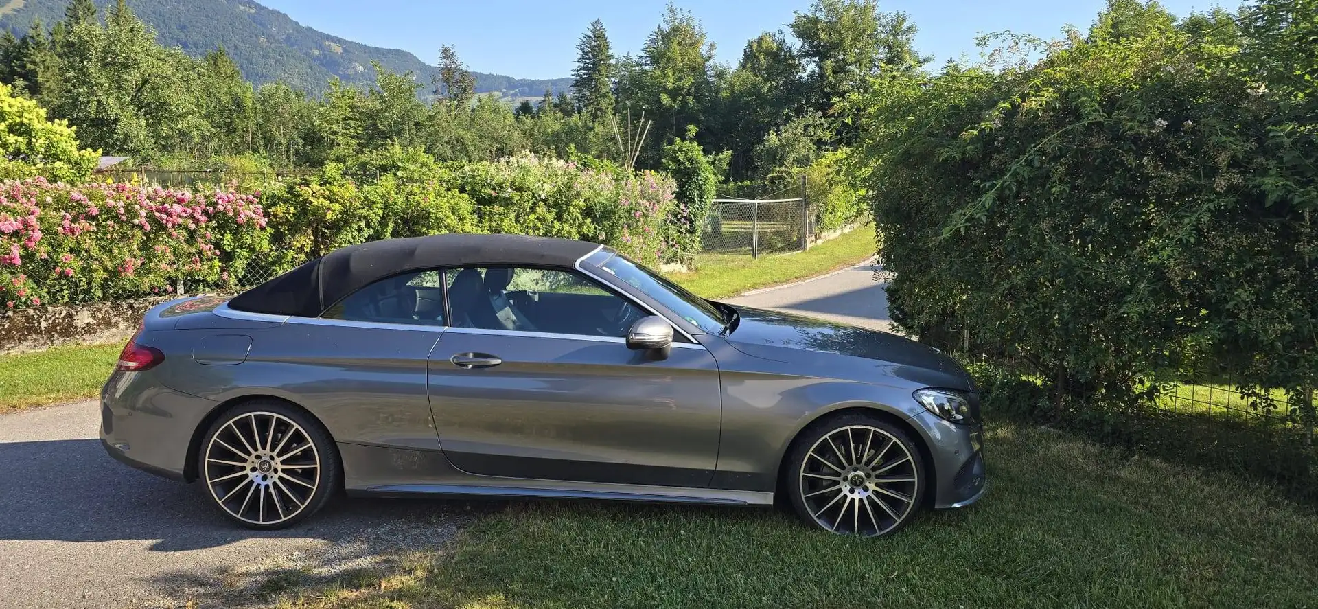 Mercedes-Benz C 220 C 220 d Cabrio Aut. Grau - 2