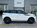 Land Rover Range Rover Evoque 2.0D MHEV R-Dynamic SE AWD Aut. 180 Blanco - thumbnail 7