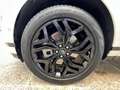 Land Rover Range Rover Evoque 2.0D MHEV R-Dynamic SE AWD Aut. 180 Blanco - thumbnail 9