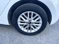 Kia Rio 1.0 MHEV 100CV GT Line E6 Neo - 2021 Blanc - thumbnail 12