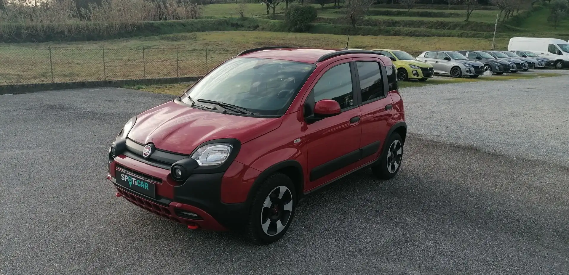 Fiat Panda Panda Cross 1.0 FireFly S&S Hybrid - 1