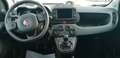 Fiat Panda Panda Cross 1.0 FireFly S&S Hybrid - thumbnail 14