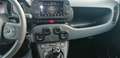 Fiat Panda Panda Cross 1.0 FireFly S&S Hybrid - thumbnail 12
