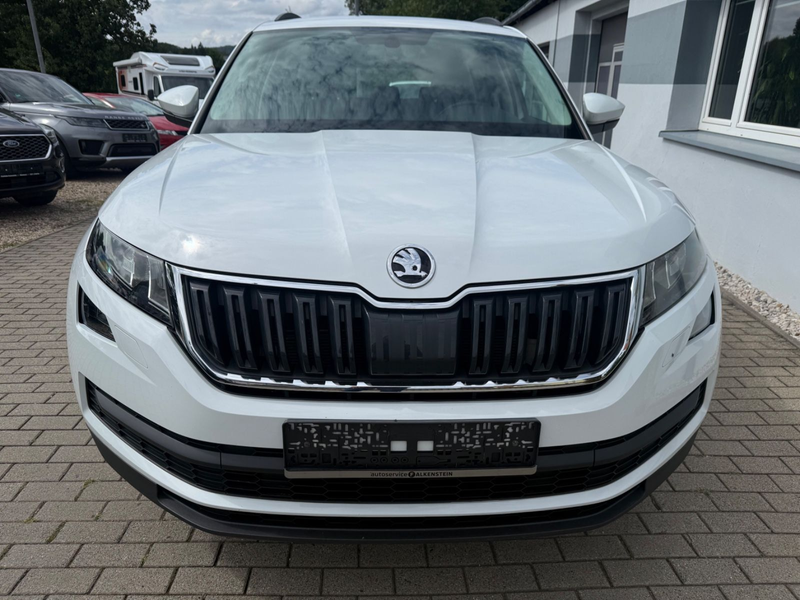 Skoda Kodiaq 2,0 TDI DSG Ambition 4x4 Shzg  DAB AHK — photo 2