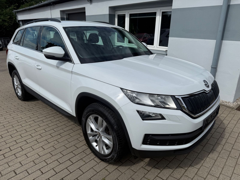 Skoda Kodiaq 2,0 TDI DSG Ambition 4x4 Shzg  DAB AHK