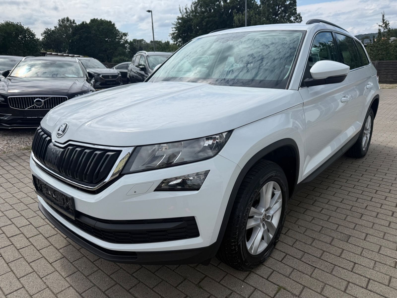 Skoda Kodiaq 2,0 TDI DSG Ambition 4x4 Shzg  DAB AHK — photo 3