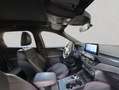Ford Kuga 2.5 Duratec PHEV ST-LINE X Nero - thumbnail 20