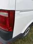 Volkswagen T6 Transporter Fahrgestell KR 2,0 TDI BMT - thumbnail 5