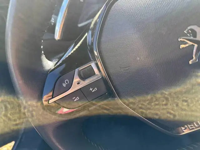 Peugeot 2008 view 10