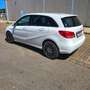 Mercedes-Benz B 220 220d 7G-DCT Blanco - thumbnail 6