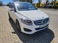 Mercedes-Benz B 220 220d 7G-DCT Blanco - thumbnail 8
