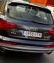 Audi Q7 Q7 3.0TDI Advance 204 Tiptronic Advance Brun - thumbnail 5