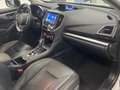 Subaru XV 2.0i Hybrid Executive Plus CVT Blanco - thumbnail 12