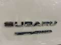 Subaru XV 2.0i Hybrid Executive Plus CVT Blanco - thumbnail 24