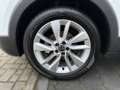 Volkswagen T-Cross 1.0 TSI GOAL +LED +ACC +APP +LM +NAVI +SHZ +DAB+ Weiß - thumbnail 7