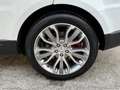 Land Rover Range Rover Sport 3.0 SDV6 HSE Dynamic Bianco - thumbnail 5