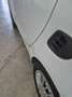 smart forTwo Fortwo III 2015 1.0 Youngster 71cv twinamic Weiß - thumbnail 5