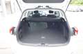 Ford Focus Turnier 1.0 EcoBoost Cool & Connect, AHK Blanc - thumbnail 13