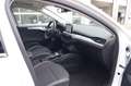 Ford Focus Turnier 1.0 EcoBoost Cool & Connect, AHK Blanc - thumbnail 8