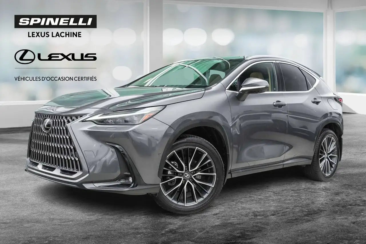 2024 Lexus NX