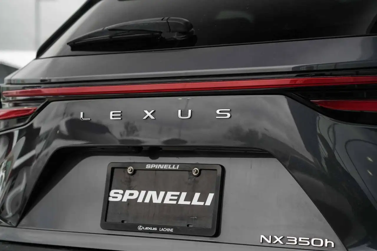 Lexus NX fotografie Lexus NX