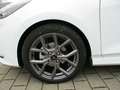 Ford Fiesta 1,0 Ecoboost MHEV ST-Line,Sonderz.ab4,44% Blanc - thumbnail 13