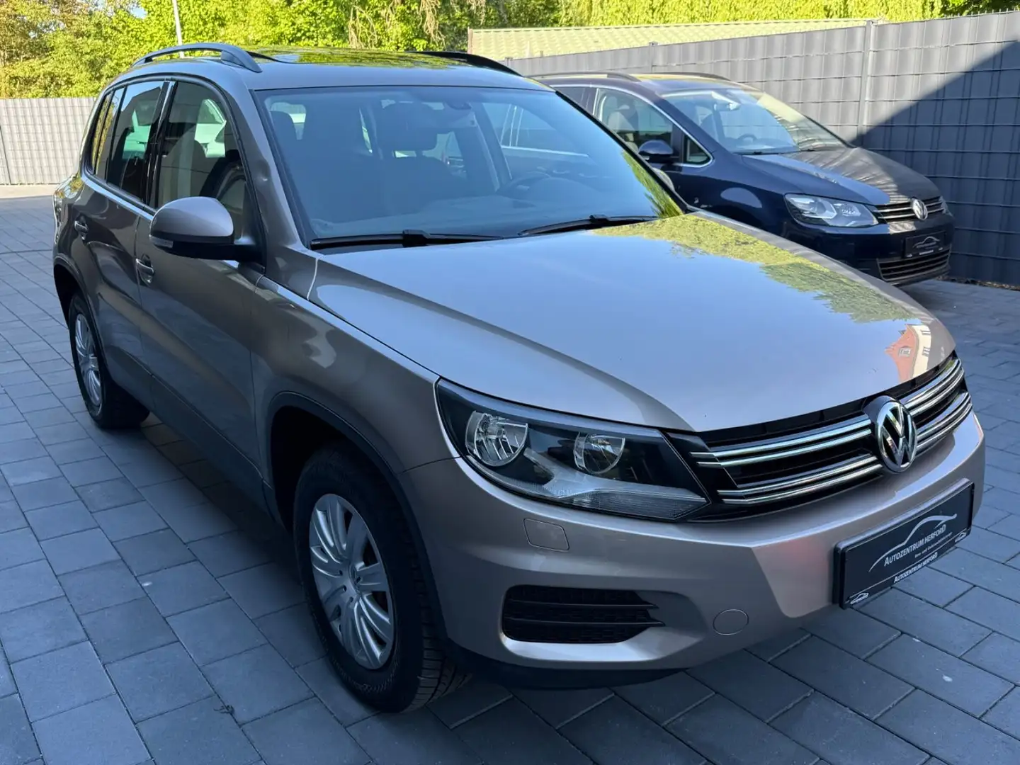 Volkswagen Tiguan Track & Field 4Motion DSG PANO AHK Beige - 2