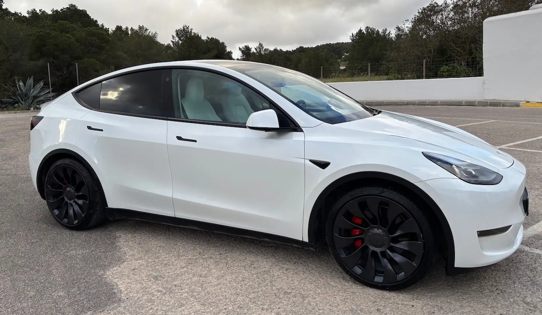 Tesla Model Y Model Y Performance AWD Blanco - 1