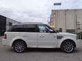 Land Rover Range Rover Sport 3.0TDV6 AB Aut. Weiß - thumbnail 5