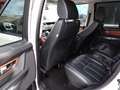 Land Rover Range Rover Sport 3.0TDV6 AB Aut. Weiß - thumbnail 35