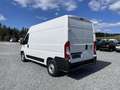 Fiat Ducato Kasten L2H2 33 2.2 MJT *Klima*Radio*PDC*ZV*Temp... Weiß - thumbnail 3