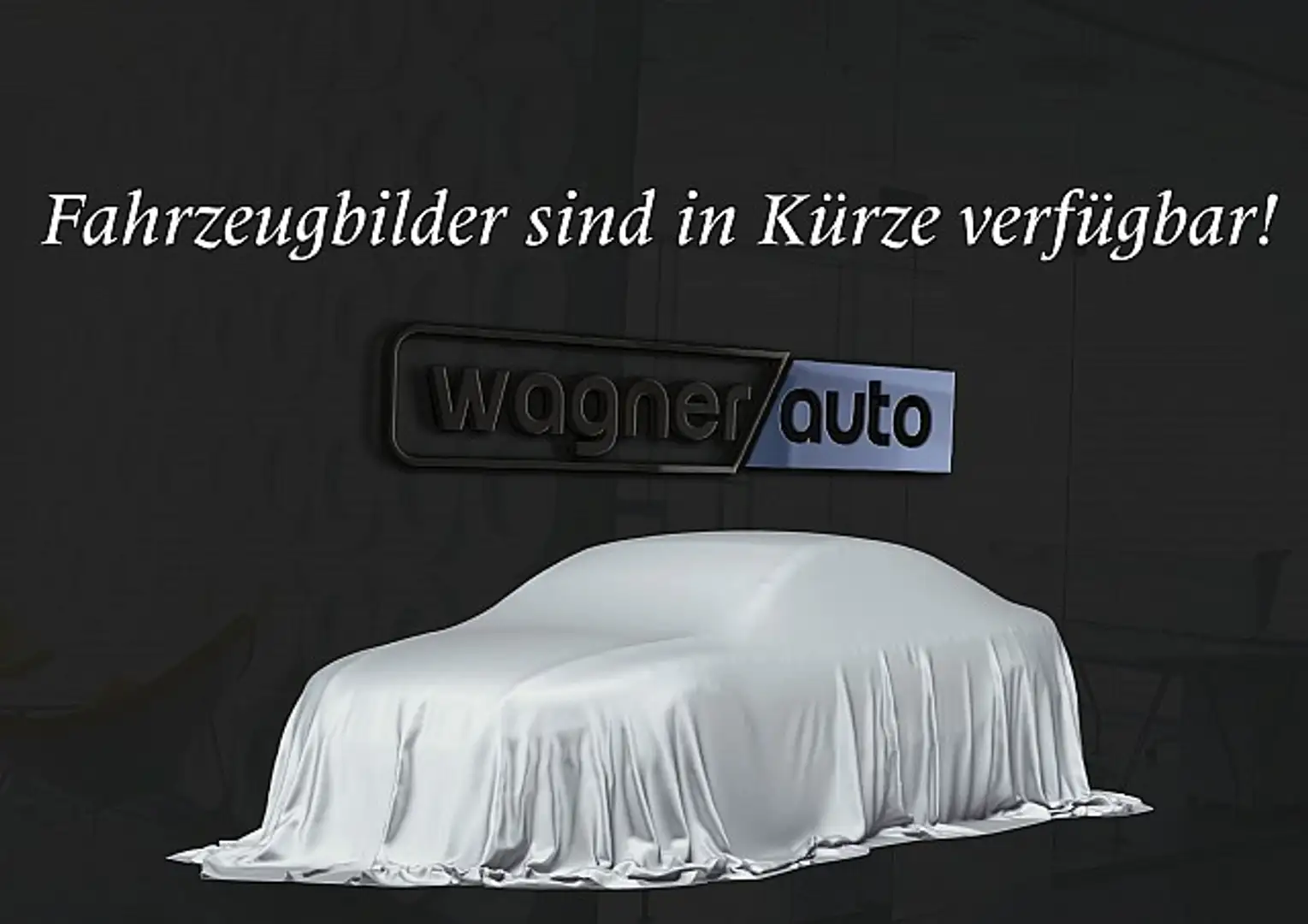 Volkswagen Caddy Kombi Maxi Austria Plus 2,0 TDI 4MOTION.AHK/Tem... Argent - 1