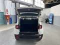 Jeep Renegade 1.0 T3 Limited Bianco - thumbnail 14
