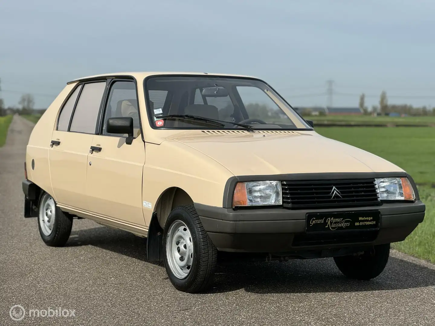 Citroen Visa 2-cyl Beige - 1