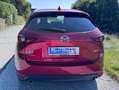 Mazda CX-5 CX-5 G165 AWD Revolution Revolution Rot - thumbnail 2