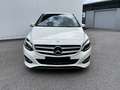 Mercedes-Benz B 200 CDI 4MATIC Urban PTS Shz Navi LED RKam Weiß - thumbnail 3