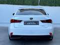 Lexus IS F 2.5 300h Sport Blanc - thumbnail 8