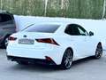 Lexus IS F 2.5 300h Sport Blanc - thumbnail 9