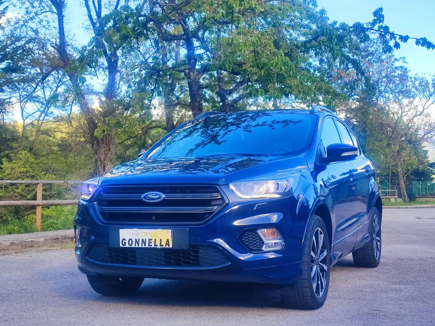 Ford Kuga 1.5 tdci ST-Line S&S 2wd Blu/Azzurro - 2