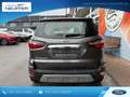 Ford EcoSport Titanium/B&O-Sound/Rfkamera/Totwinkel Grau - thumbnail 6