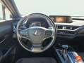 Lexus UX 250h 2.0 Business Gris - thumbnail 13