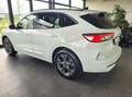 Ford Kuga FHEV Hybrid ST-Line X AWD m ACC/2xKamera/SD Weiß - thumbnail 5