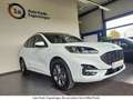 Ford Kuga FHEV Hybrid ST-Line X AWD m ACC/2xKamera/SD Weiß - thumbnail 1