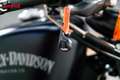 Harley-Davidson Sportster 883 - thumbnail 14