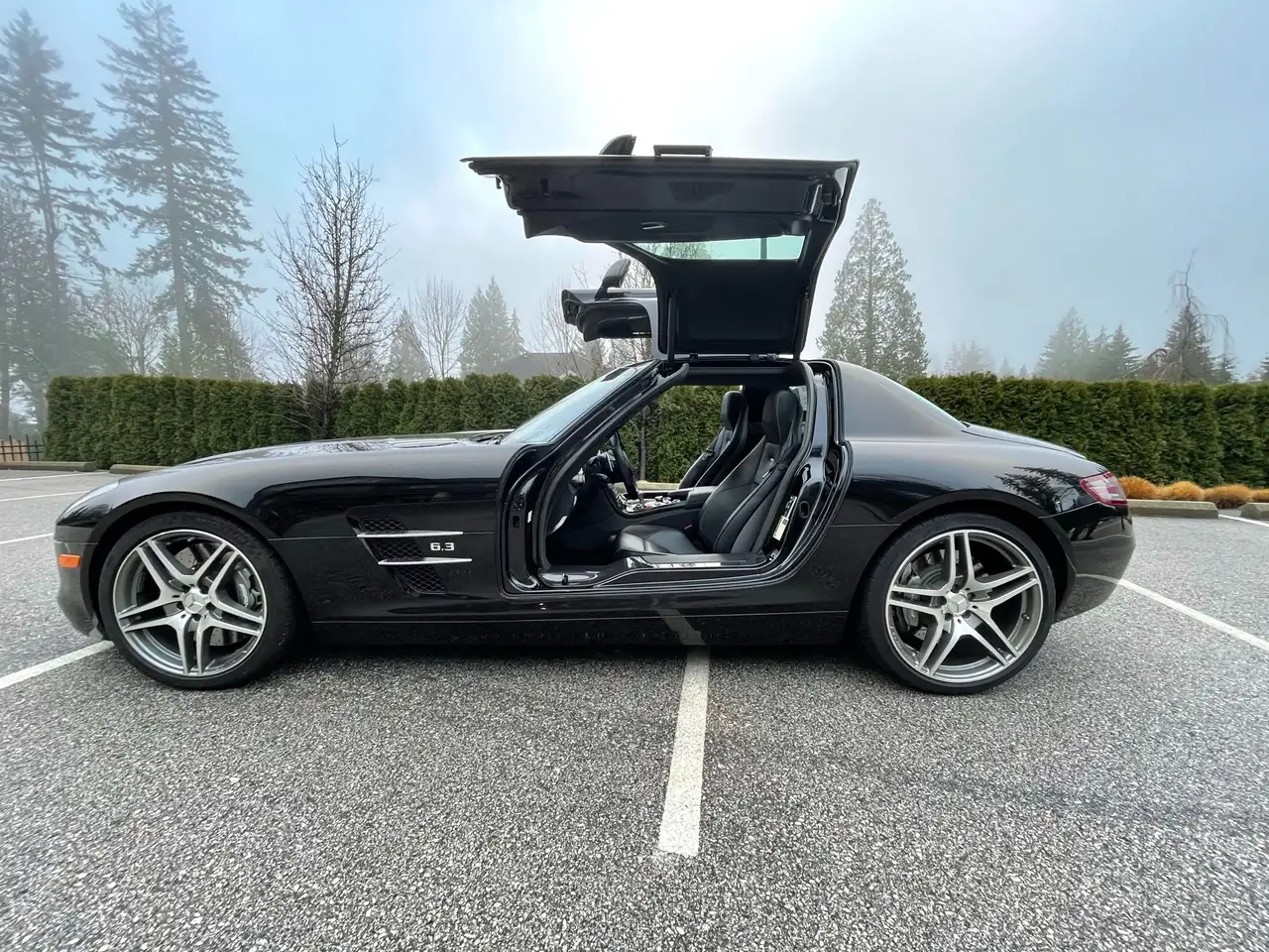 Mercedes-Benz SLS снимка Mercedes-Benz SLS